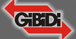 Servicio Técnico Oficial GiBiDi